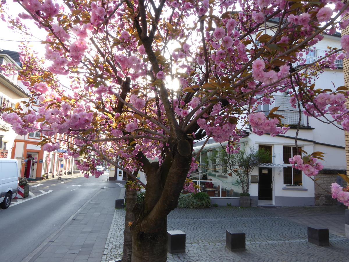 Storyhotel Bergischer Hof Koenigswinter Exterior photo